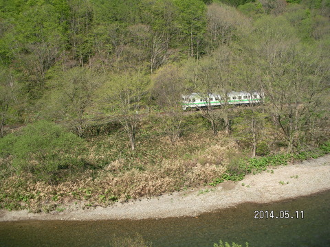 RIMG3698