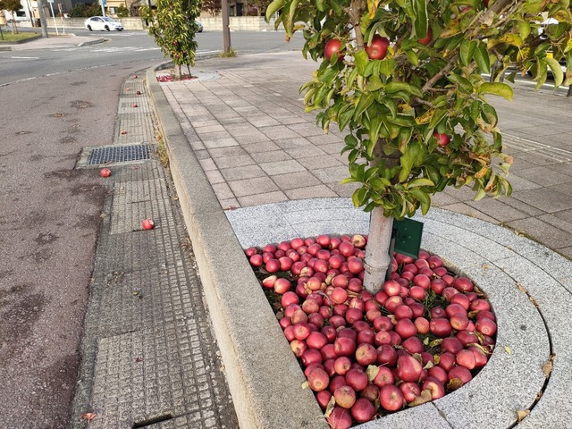 IMG20221016154432