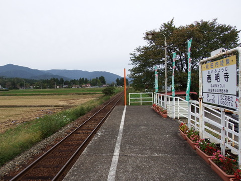 DSCF6571