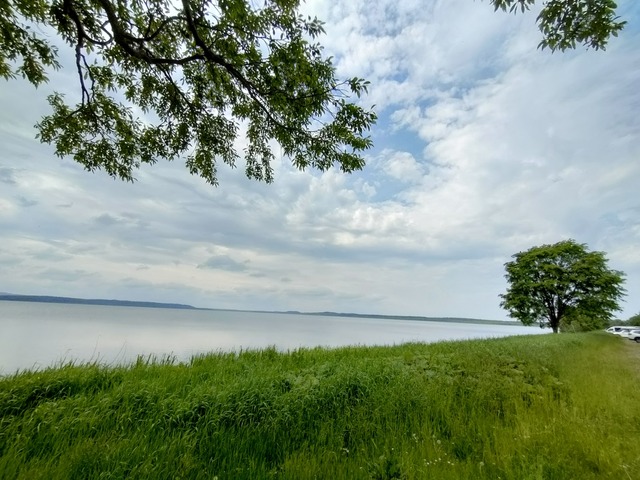 IMG20260614135852