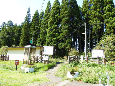 DSCF6488