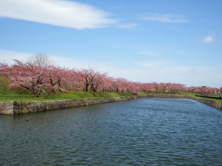 DSCF8009