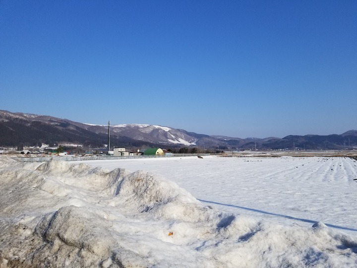 20190305_080403