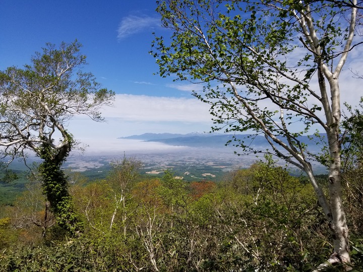 20190524_102121