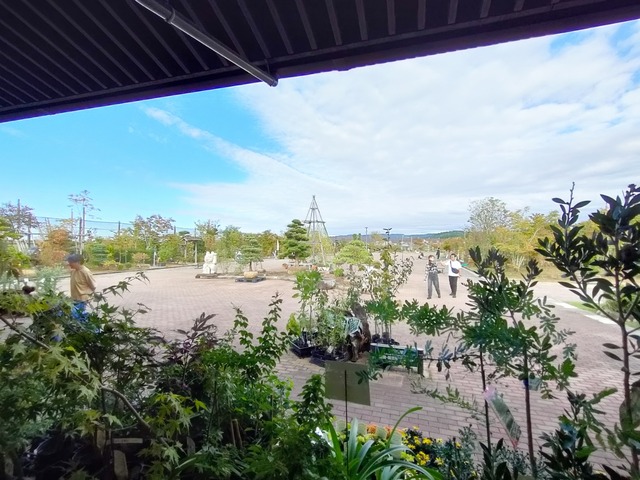 IMG20241005150309