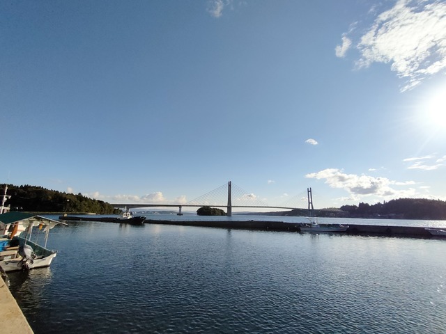 IMG20241011152950