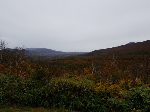IMG_20211016_093513