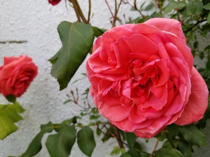 20190618_163834