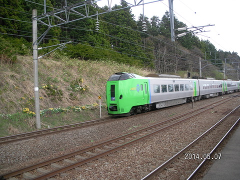 RIMG3559