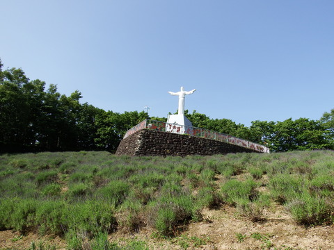 DSCF7309
