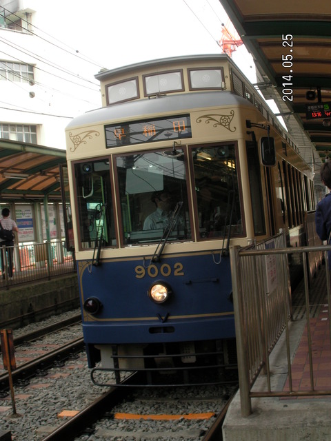 RIMG3895