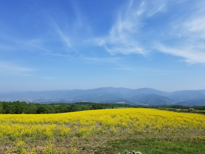 20190526_082359