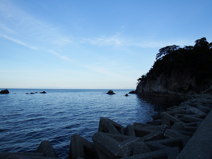 DSCF8623