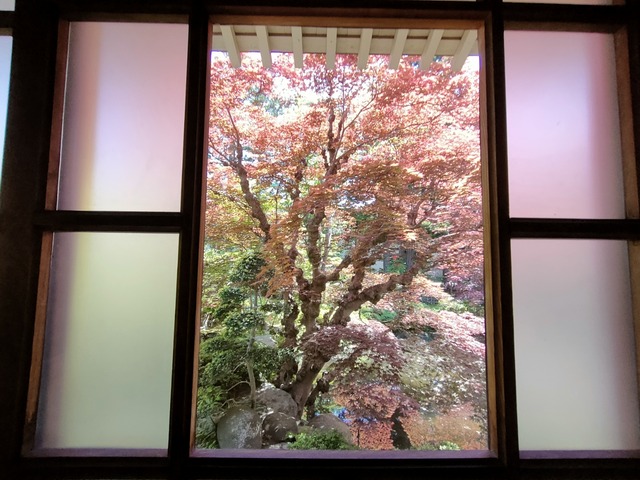 IMG20260604124429