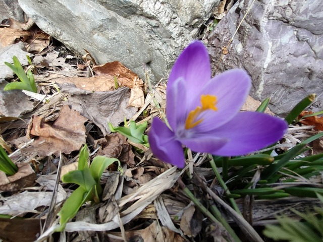 IMG20240401121046
