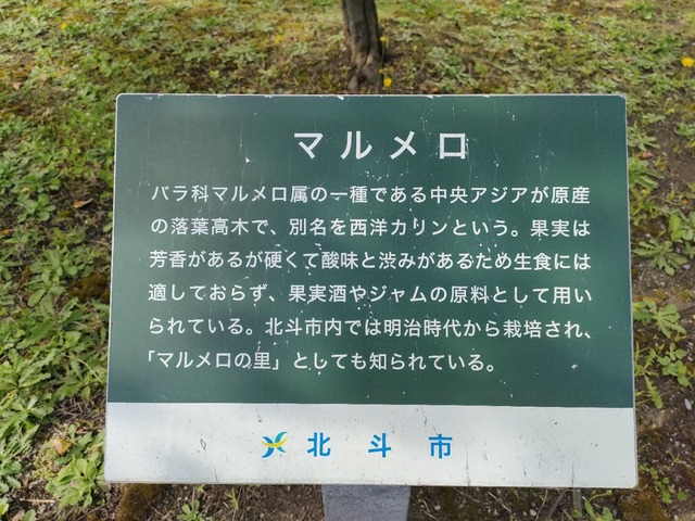 IMG20260915142250