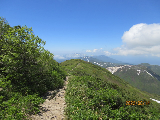 IMG_0091
