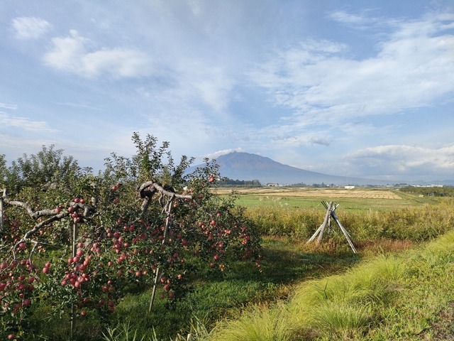 IMG20221017075552