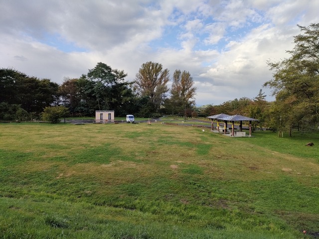 IMG20221019074032
