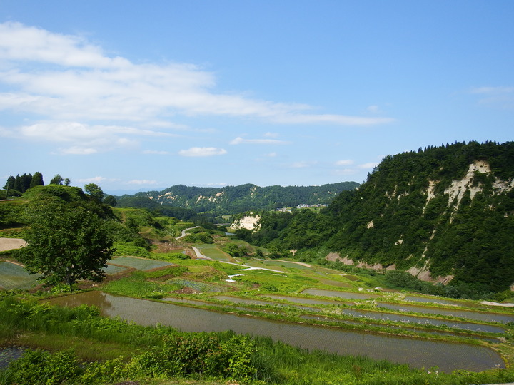 DSCF8732