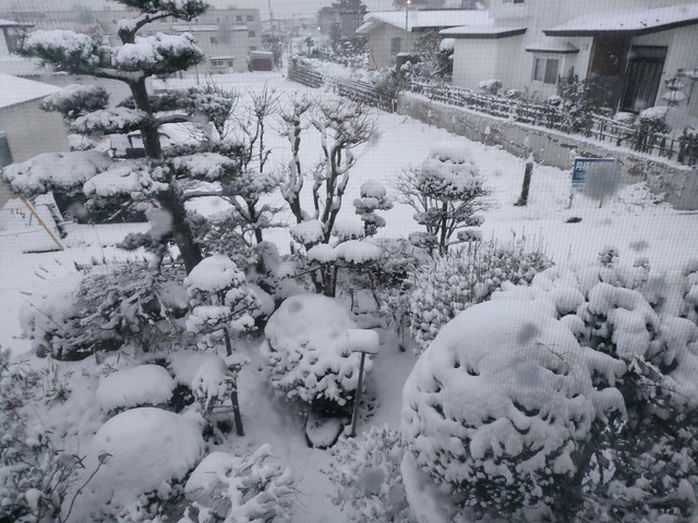 IMG20231125063203