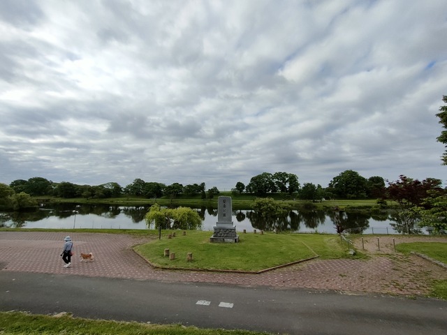 IMG20260611064435