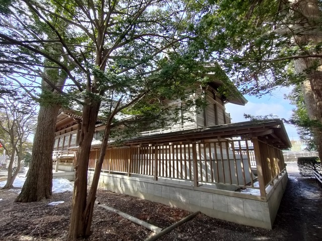 IMG20240316101610