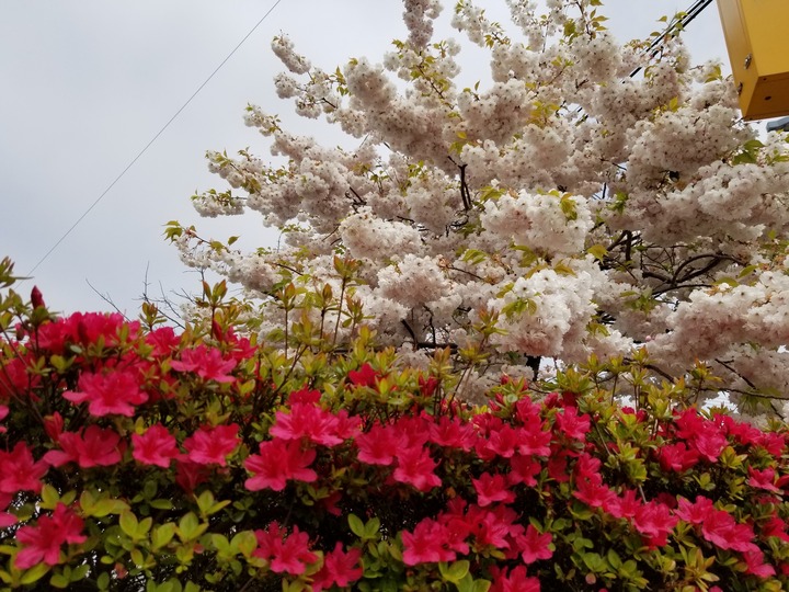 20190517_110736
