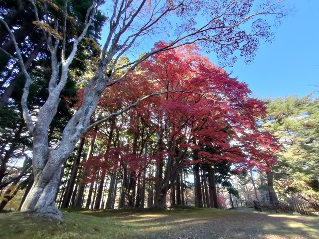 IMG20231115141952