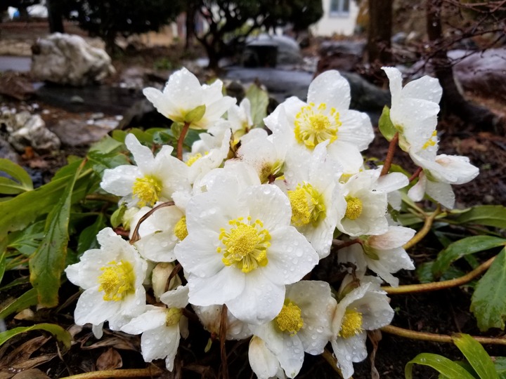 20190311_150839