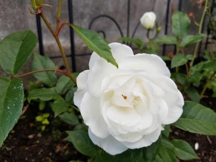 20190618_163717