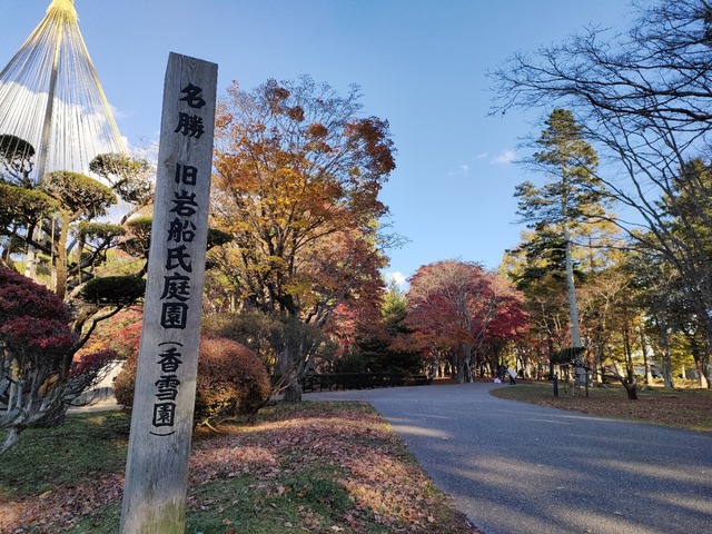IMG20231115142951