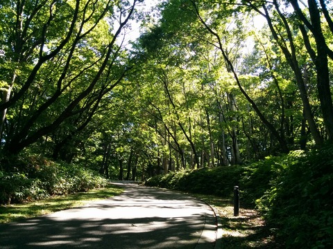 [画像:a0f9b684-s.jpg]