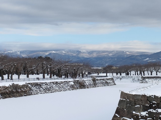IMG20240111091808