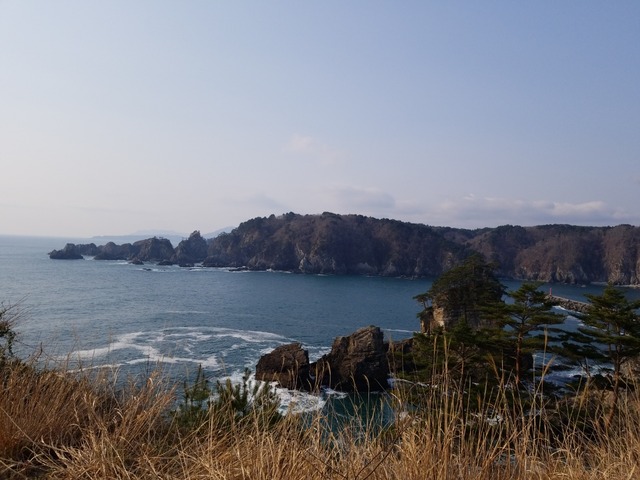 IMG_20220419_072032