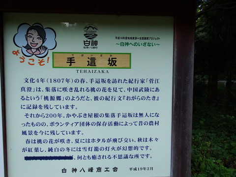 DSCF6466