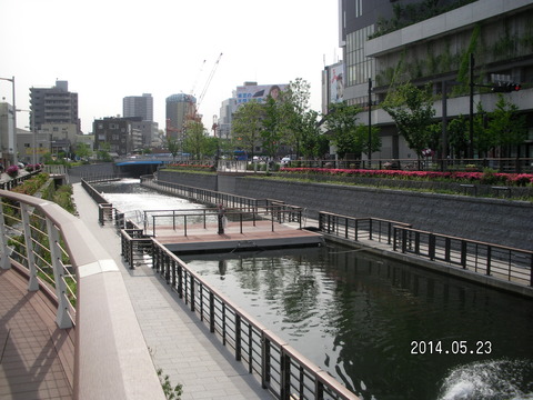 RIMG3744