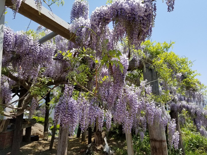 20190526_111633