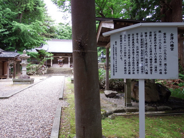 DSCF8789