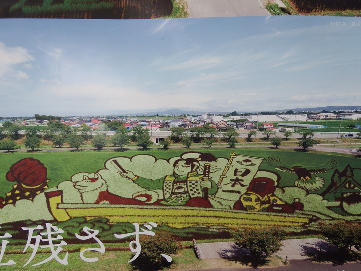 DSCF8898