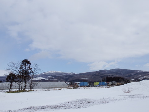 DSCF4004