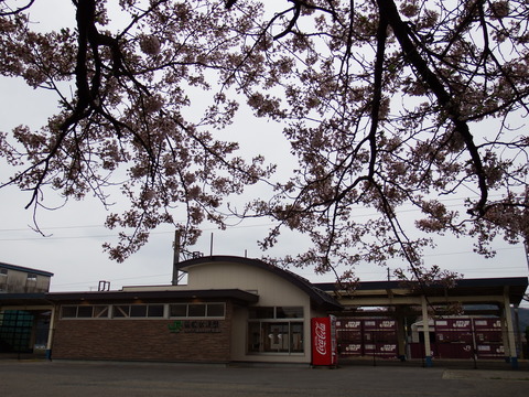 DSCF5315
