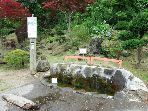 DSCF5726