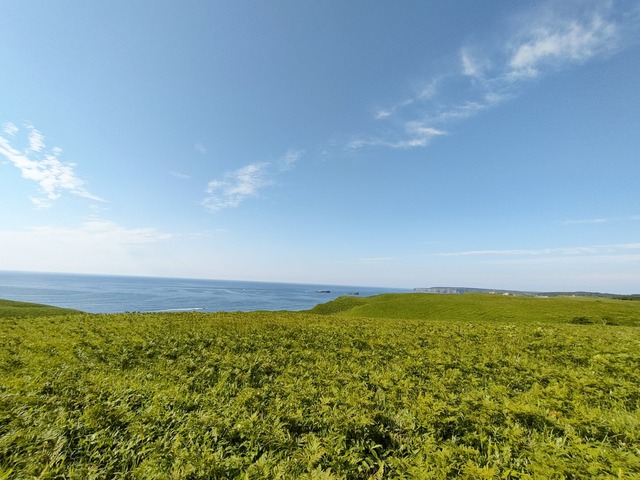 IMG20250713072555