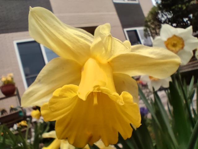 IMG20230504113242