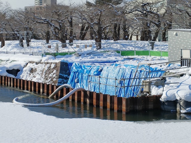 IMG20230209093248