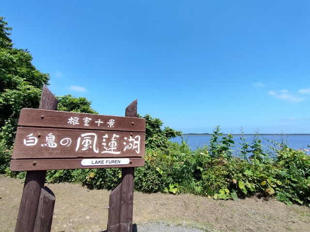 IMG20250711105220