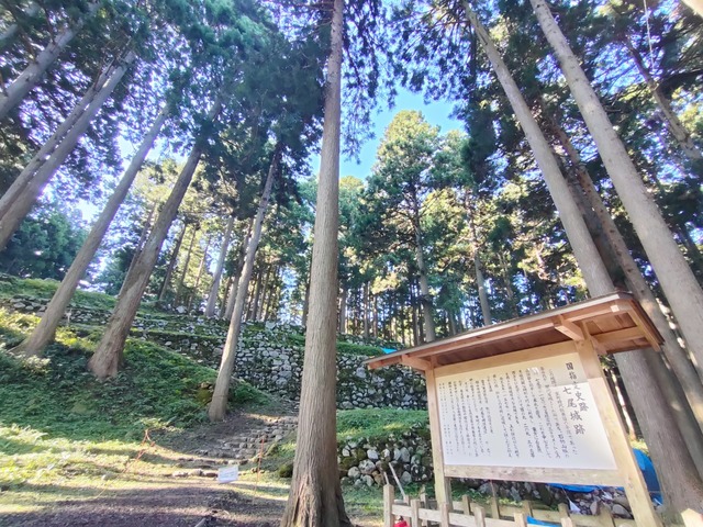IMG20241012081222