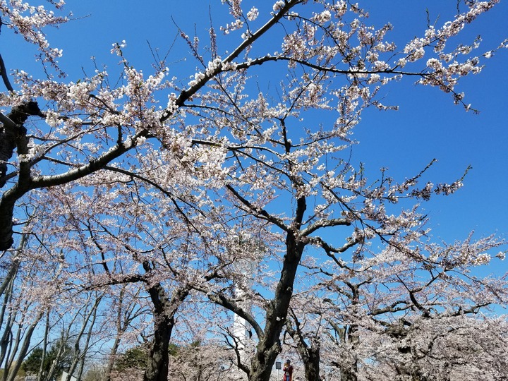 20190428_103805