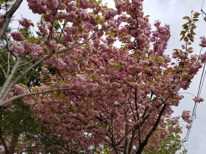 20190517_110712